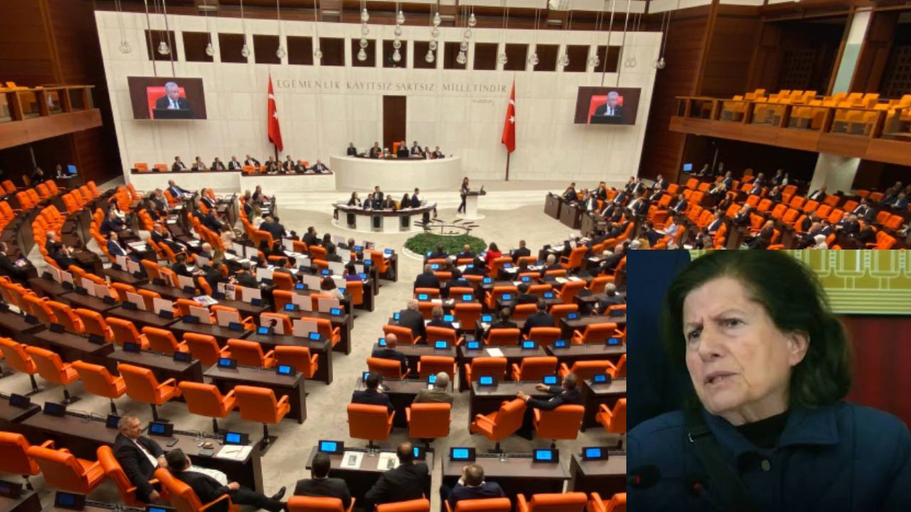 78 yaşındaki fon mağduruna Meclis yasağı: 'Paramızı silkelediler...'