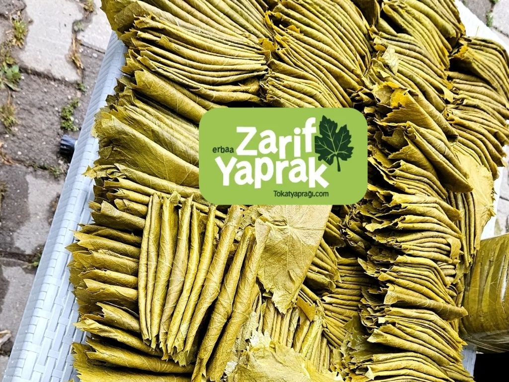 Doğal Yemek Kültürünün Özel Tokat yaprağı İle Merak Edilenler