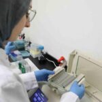 Kanseri önlemede yeni umut: kereviz tohumu